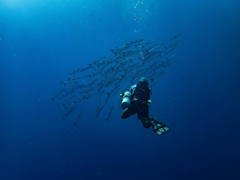Deep-Sea Fish
